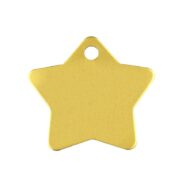 Hondenpenning ster (groot)