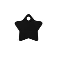 Hondenpenning ster (klein)