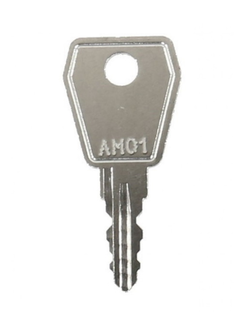 Raamsleutel Ami (AM01)